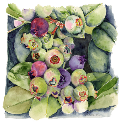 BlueBerriesLg